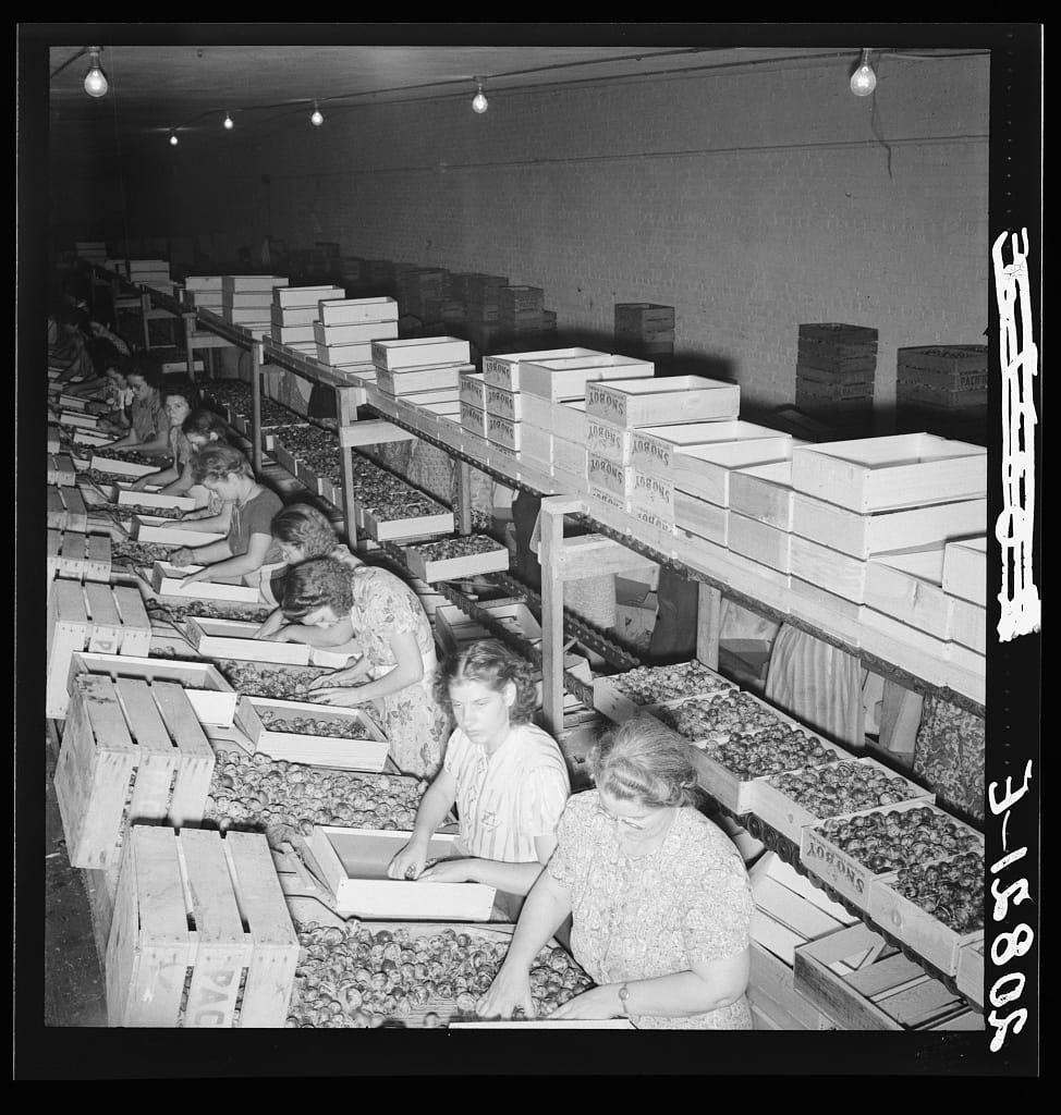 Dorothea Lange — the gaze of documentary: what the camera is allowed to see